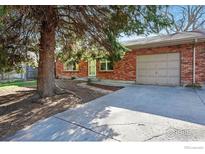 Home exterior with mature tree, brick facade, well-kept lawn and concrete driveway at 2511 Brentwood St, Lakewood, CO 80214