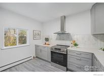 Bright kitchen featuring gray cabinets, stainless steel appliances, and stylish backsplash and countertops at 1580 S Krameria St, Denver, CO 80224