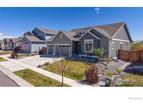 Charming single-Gathering home with a well-manicured lawn and gray siding in a suburban neighborhood at 324 Spring Beauty Dr, Berthoud, CO 80513