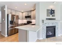 Modern kitchen with stainless steel appliances, sleek countertops, and a cozy fireplace at 827 Snowberry St, Longmont, CO 80503