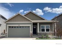 Charming single-Gathering home with a two-car garage and neutral exterior at 196 Bird Way, Lochbuie, CO 80603