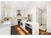 Bright kitchen featuring white cabinetry, stainless steel appliances, and a stylish backsplash at 2208 Bellavista St, Castle Rock, CO 80109