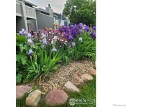 Beautiful landscaping showcasing colorful irises in front of the building at 2950 Glenwood Dr, Boulder, CO 80301