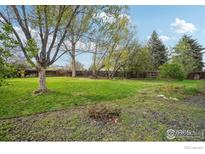 Spacious fenced yard with mature trees and lush green grass at 13755 W 65Th Dr, Arvada, CO 80004