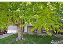 Charming brick home featuring an attached garage and a shade tree in the front yard at 13755 W 65Th Dr, Arvada, CO 80004