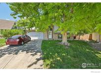 Charming brick home featuring an attached garage, driveway, and a shade tree in the front yard at 13755 W 65Th Dr, Arvada, CO 80004