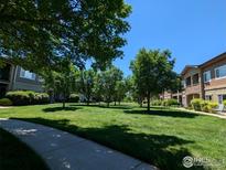 Well-manicured common area featuring lush green grass, mature trees, and inviting walkways at 1122 Olympia Ave # 12H, Longmont, CO 80504