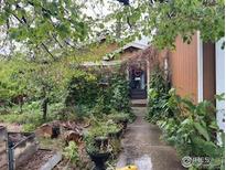 Charming home entrance with lush greenery and walkway leading to the front door at 1113 Lantern Dr, Fort Lupton, CO 80621