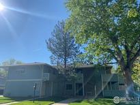 Inviting two-story exterior with lush trees and a blue sky backdrop at 1117 Elysian Field Dr # B, Lafayette, CO 80026