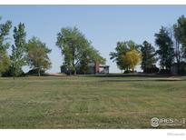 Spacious front yard featuring a ranch style home with a brick chimney surrounded by various trees at 6363 County Road 20, Longmont, CO 80504