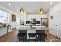 Bright modern kitchen with stainless steel appliances, island with seating, and stylish pendant lighting at 700 Lillibrook Pl, Erie, CO 80026