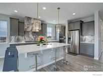 Bright kitchen featuring gray cabinets, marble backsplash, stainless steel appliances, and a large island with seating at 12917 Fox St, Westminster, CO 80234