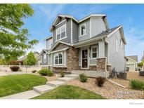 Charming two-story home featuring stone accents, gray siding, and a well-manicured lawn at 1424 Bluemoon Dr, Longmont, CO 80504