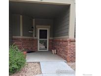 Inviting front porch with brick accents, covered area and a black front door at 804 Summer Hawk Dr, Longmont, CO 80504