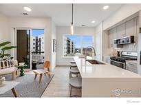 Modern kitchen features stainless appliances, light gray cabinets and oversized island with seating at 2876 W 53Rd Ave # 301, Denver, CO 80221