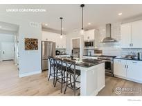 Modern kitchen features stainless steel appliances and a spacious center island with seating at 2731 Crystal Springs Ln, Longmont, CO 80503
