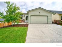 Charming single-Gathering home featuring a well-maintained lawn, mature tree, and inviting curb appeal at 10940 Utica Ct, Westminster, CO 80031