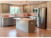 Modern kitchen with gray cabinets, stainless steel appliances, large center island, and hardwood floors at 1843 Spruce Ave, Longmont, CO 80501