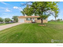 Charming ranch-style home featuring a well-manicured lawn and mature shade tree in the front yard at 2110 Charro Ave, Longmont, CO 80504