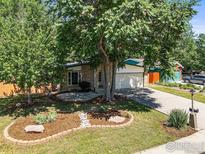 Charming home with landscaped front yard, featuring a mature tree providing shade and curb appeal at 603 Hilltop St, Longmont, CO 80504