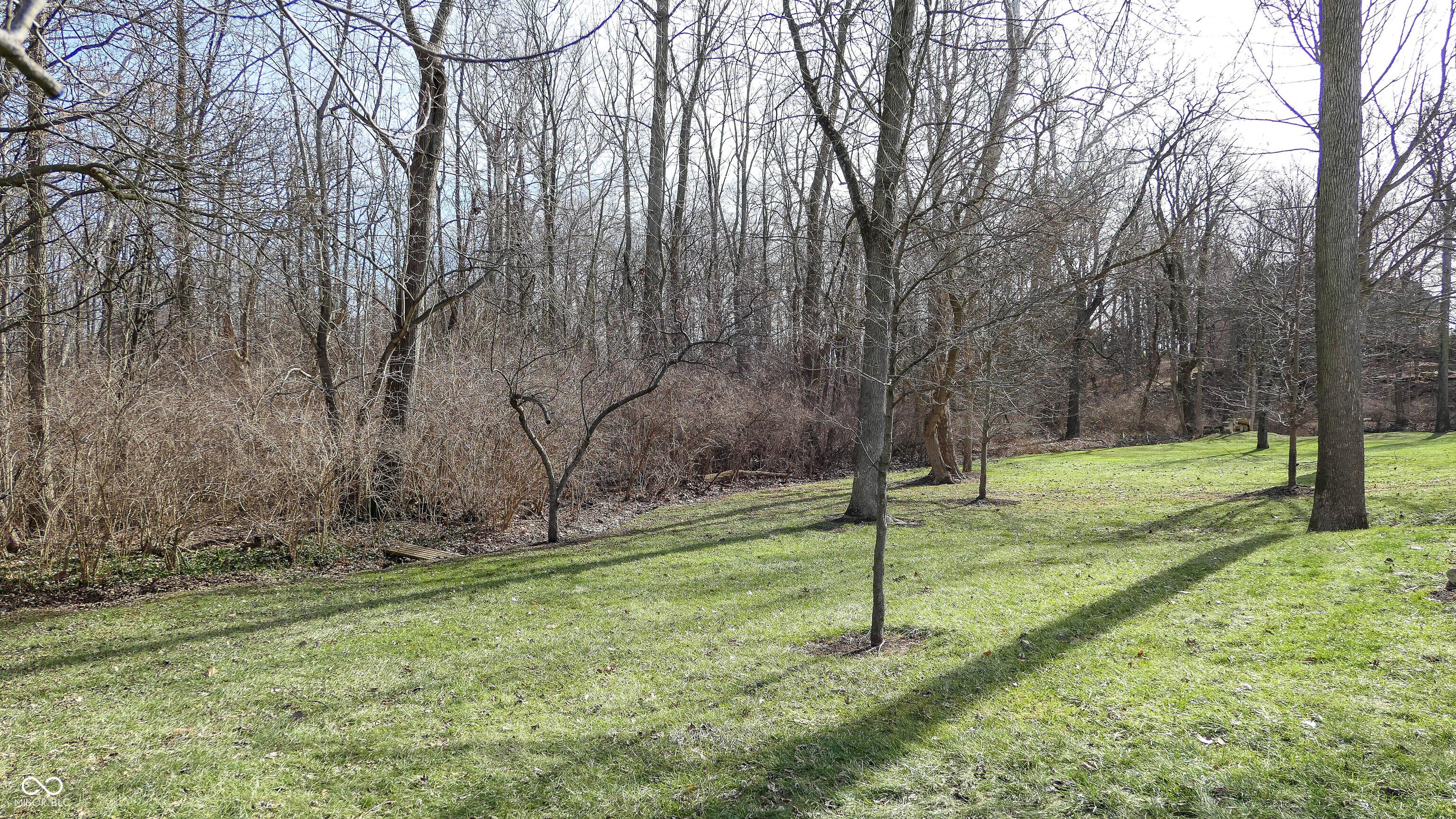 Photo #48