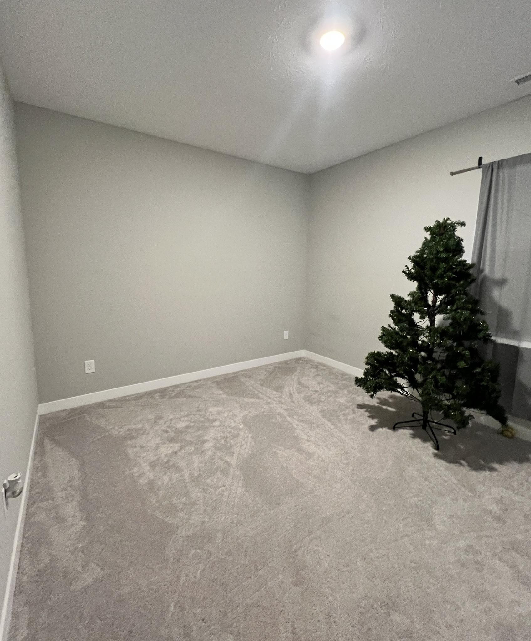 Photo #16