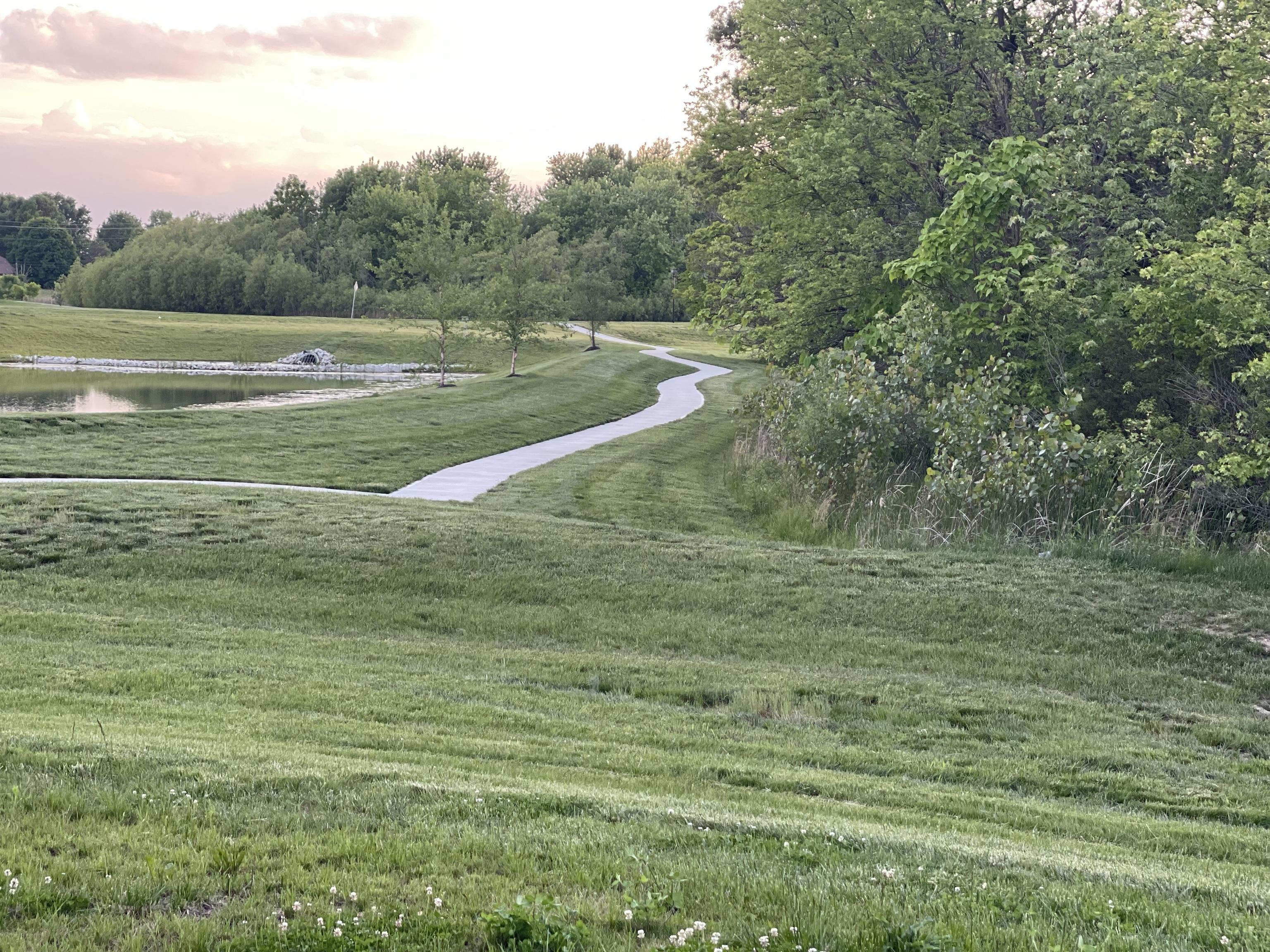 Photo #35