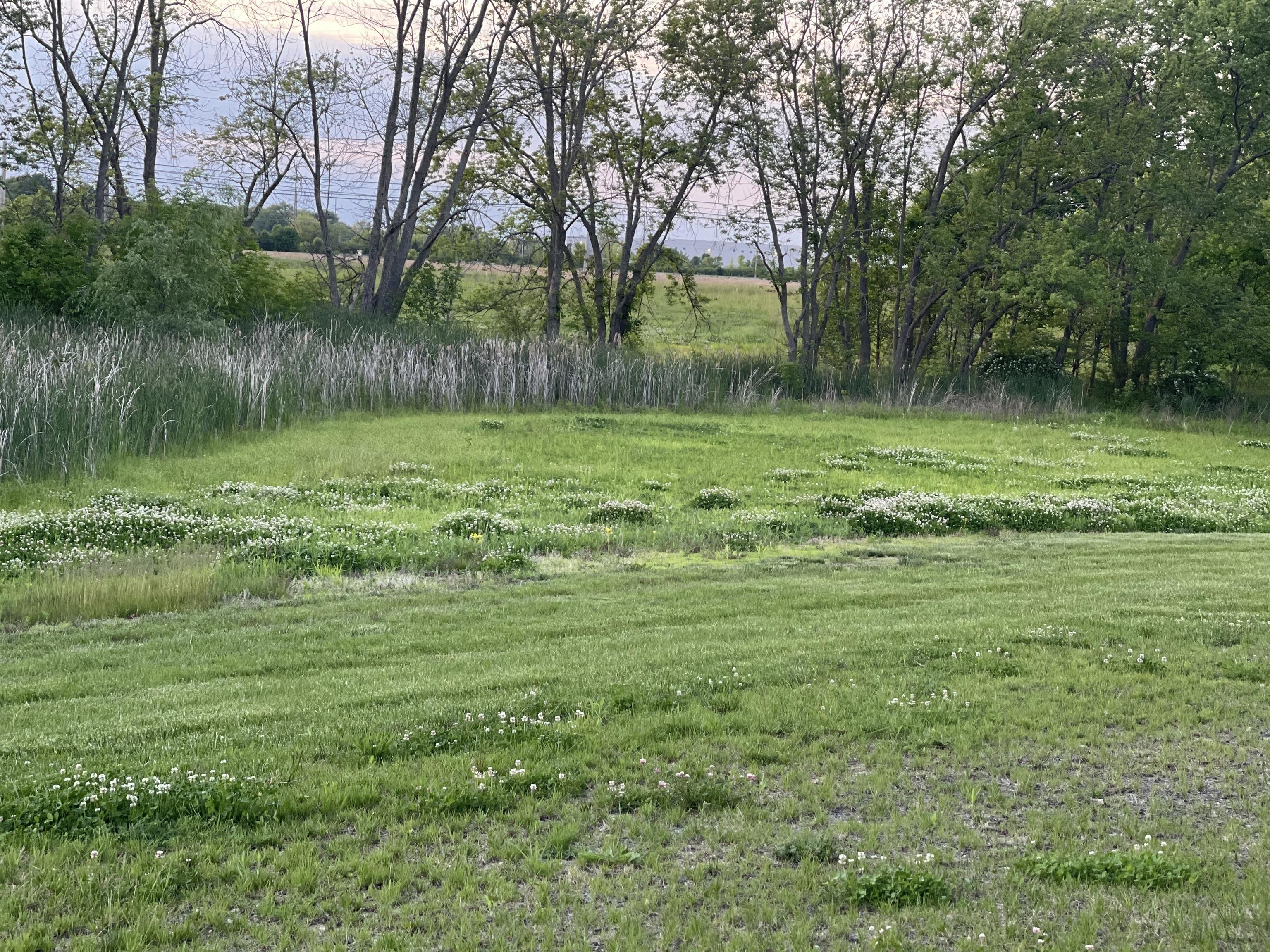 Photo #32