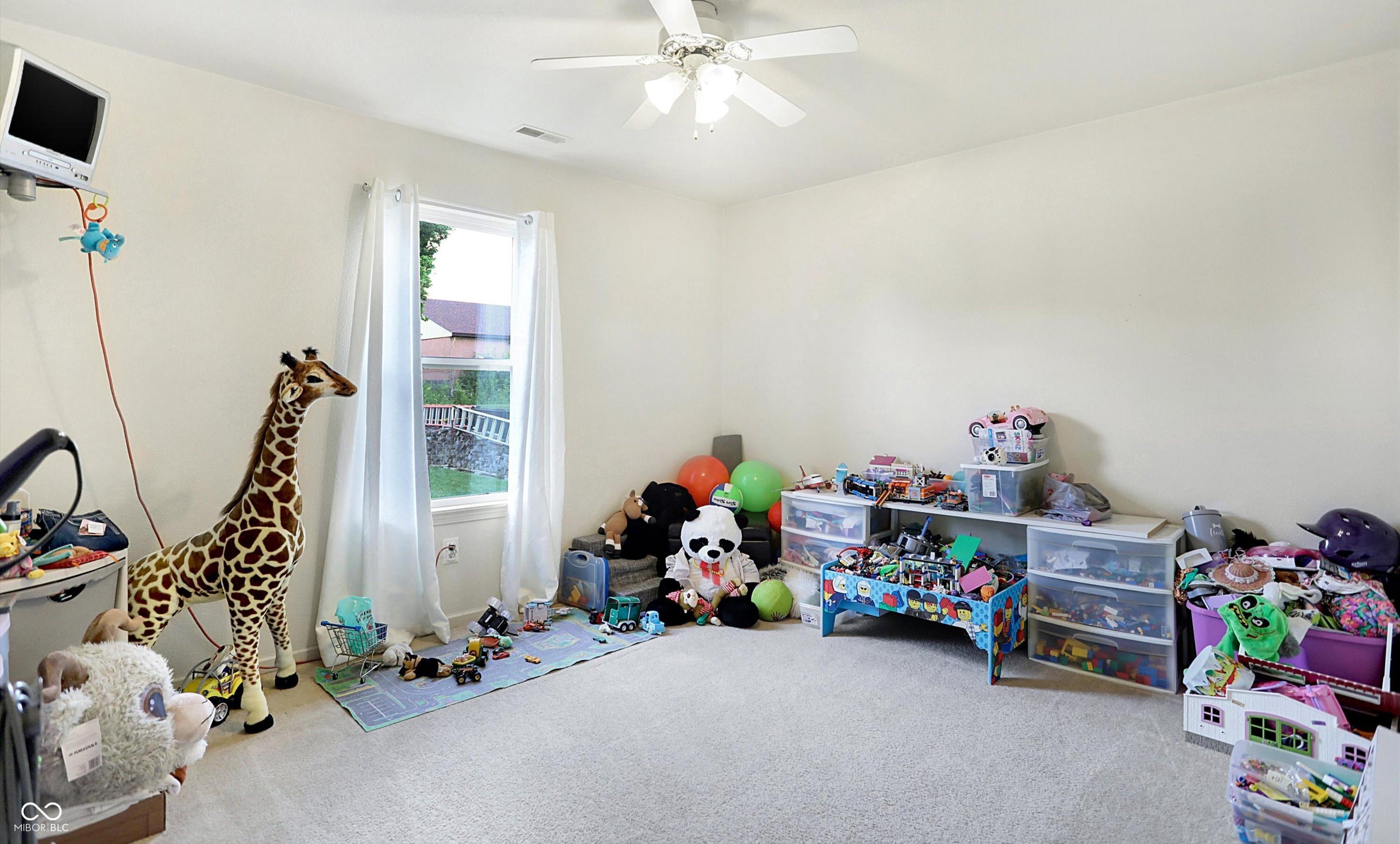 Photo #17