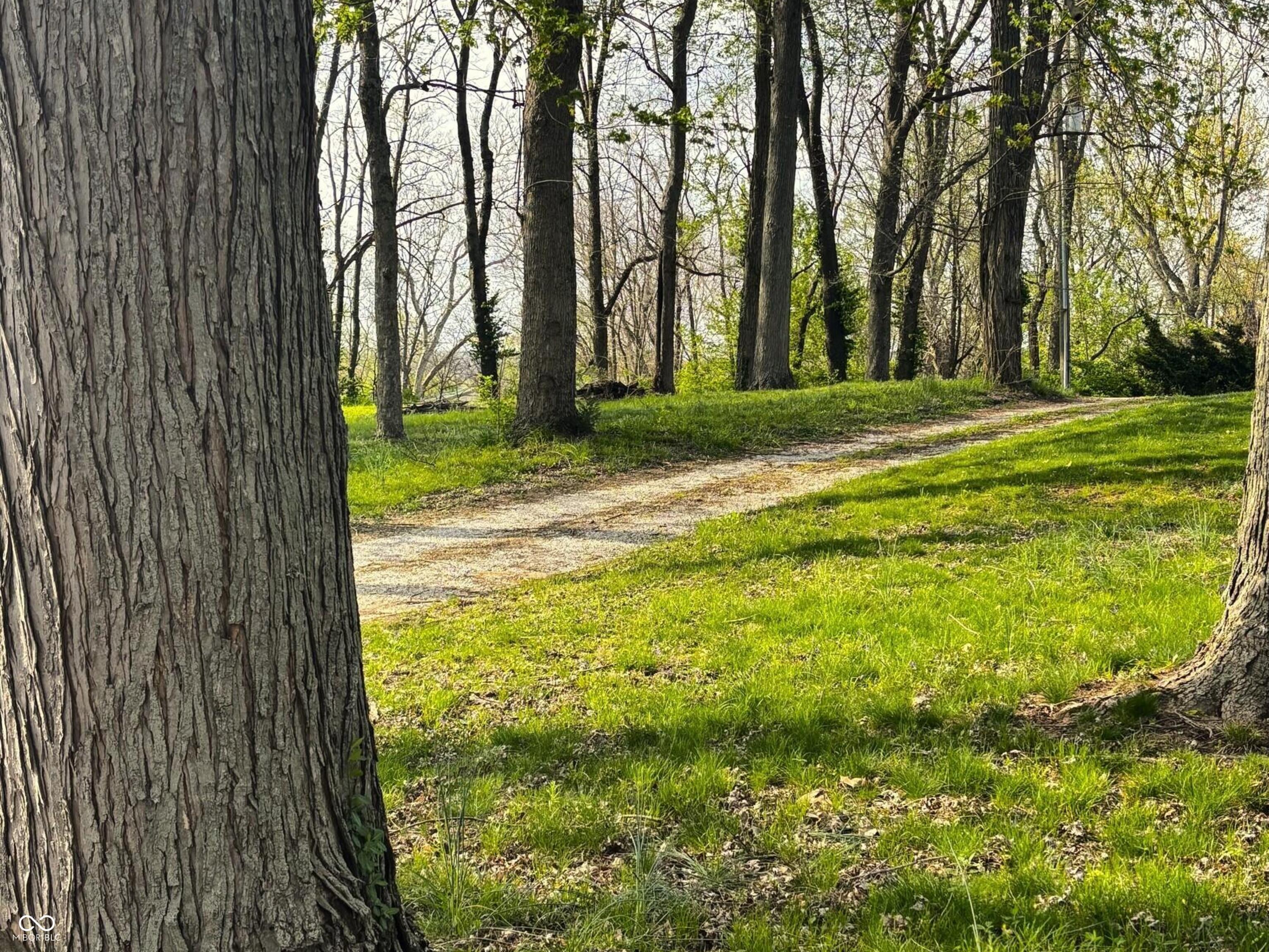 Photo #4