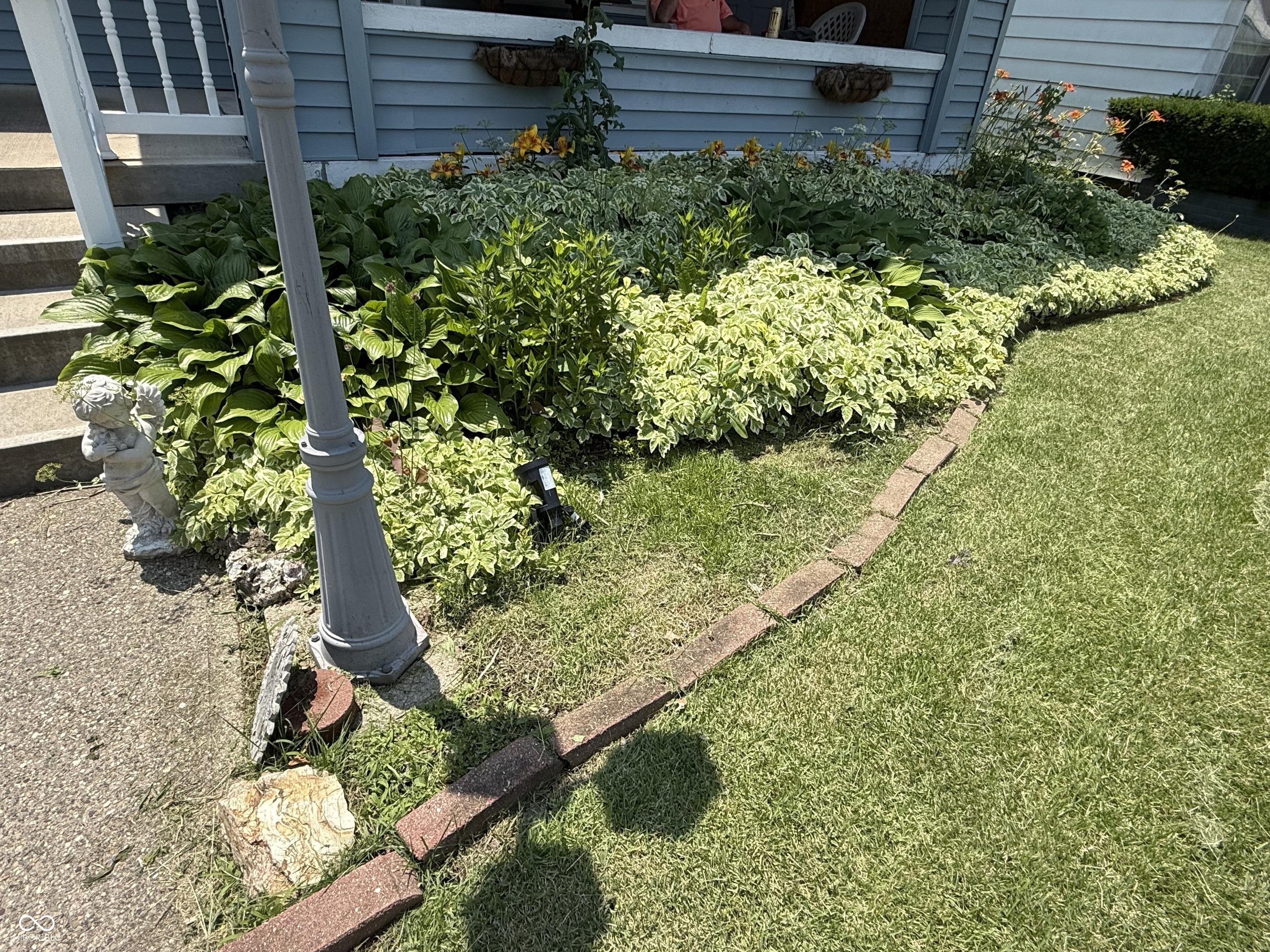 Photo #5