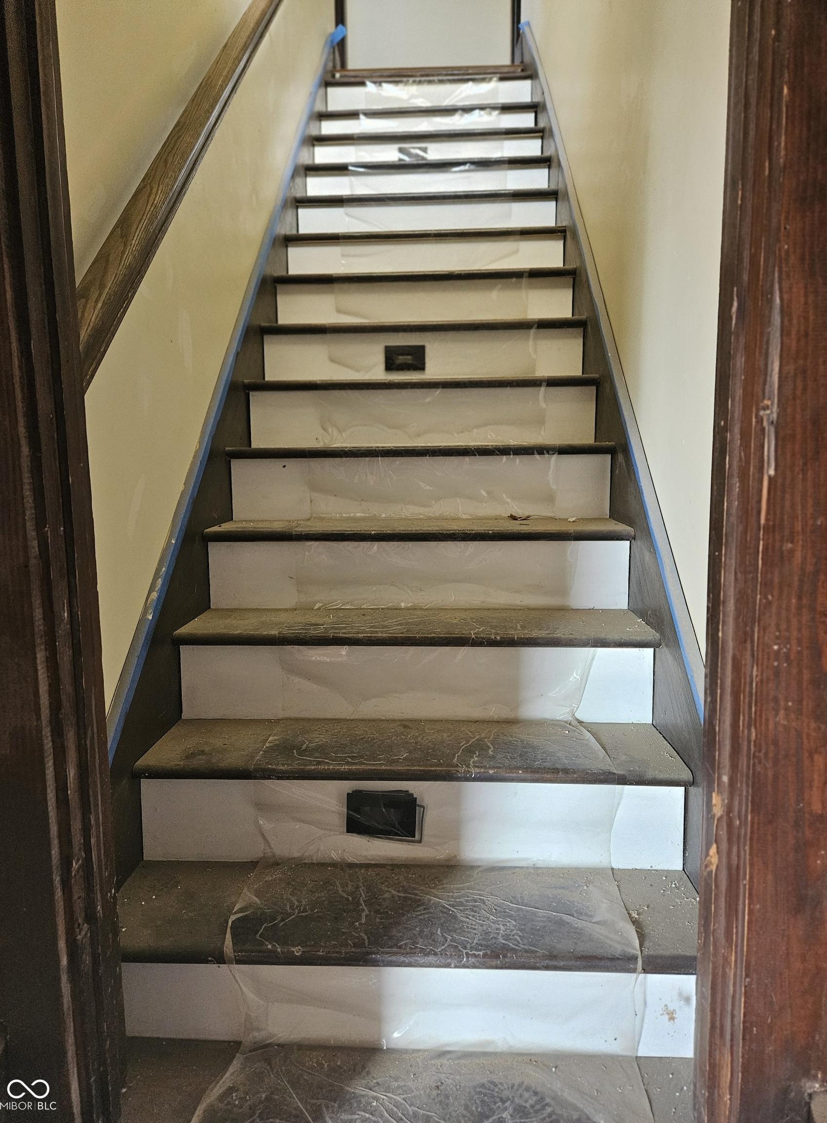 Photo #6