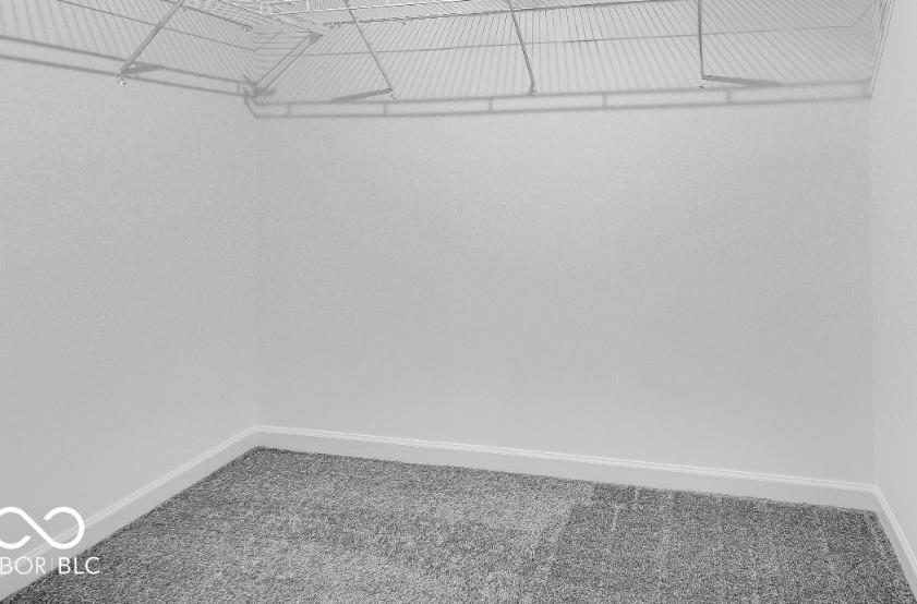 Photo #19