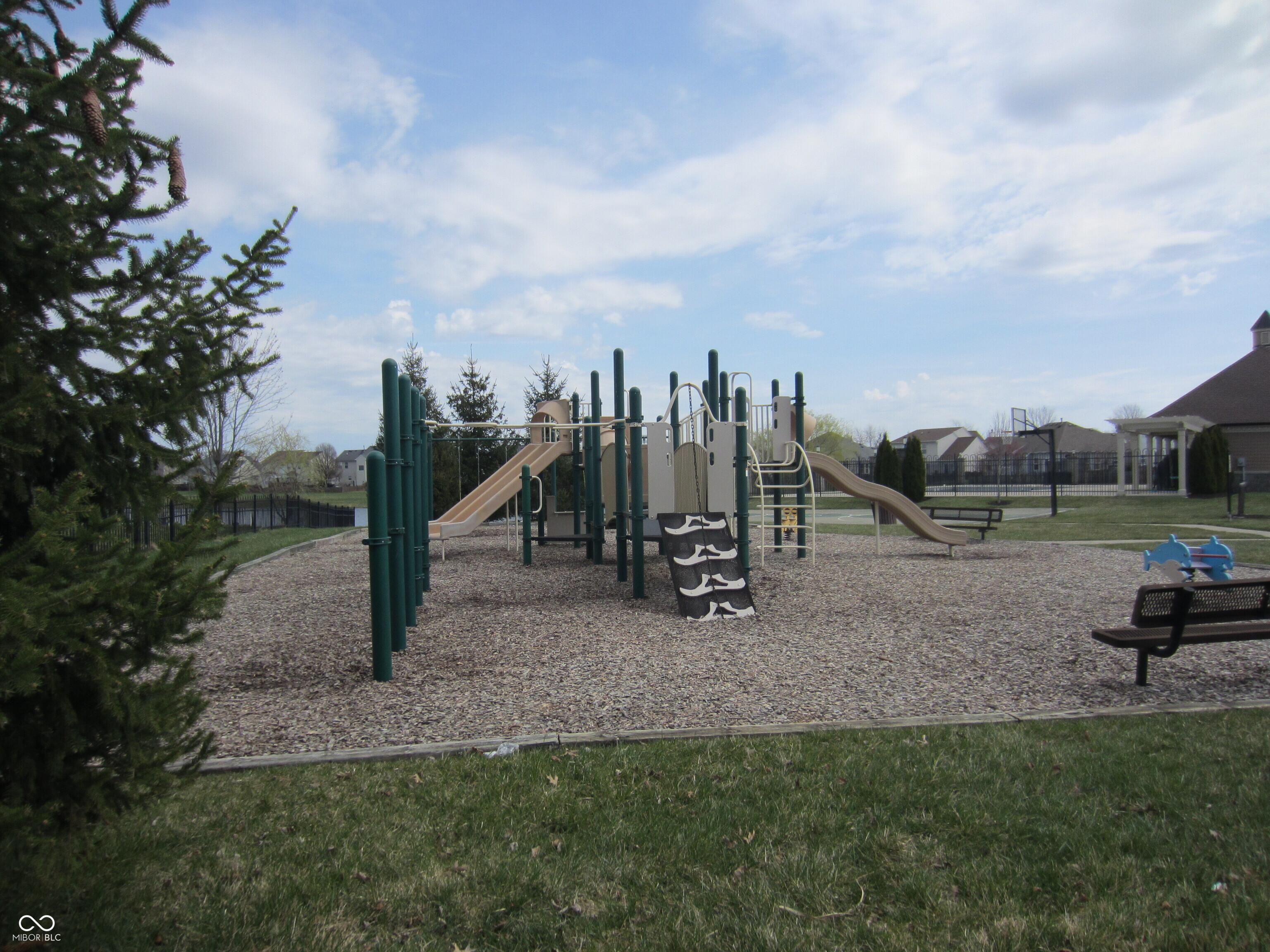 Photo #43