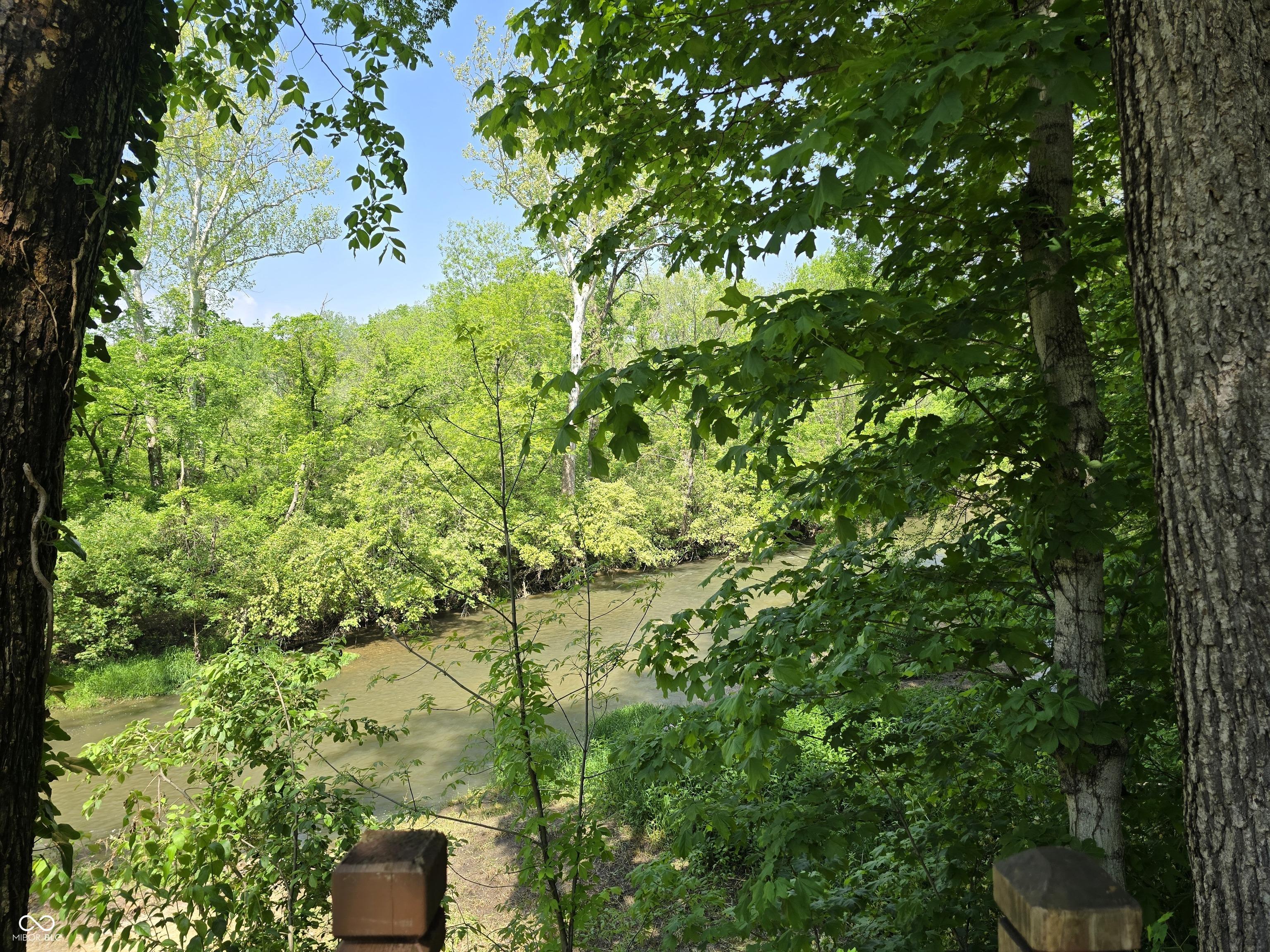 Photo #6