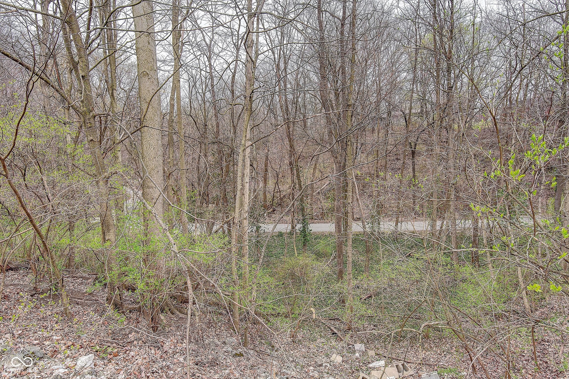 Photo #37