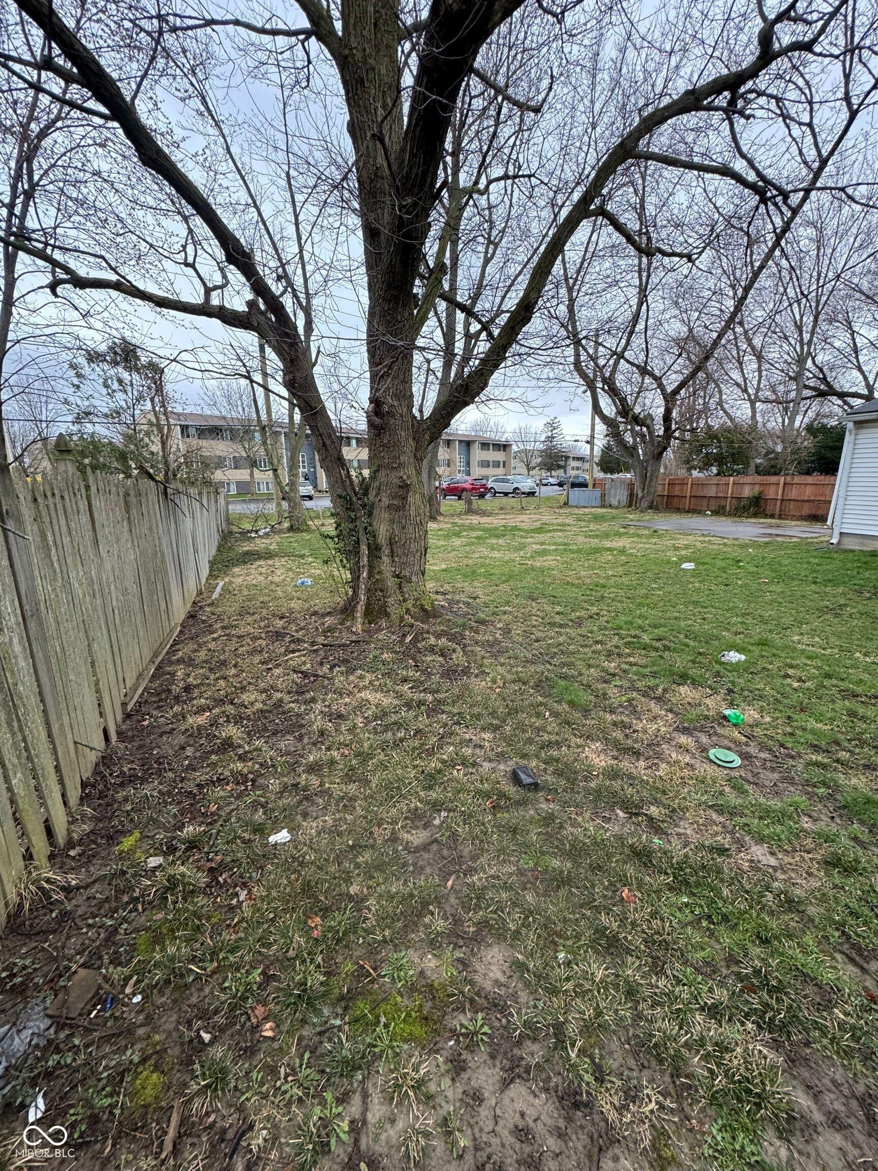 Photo #2