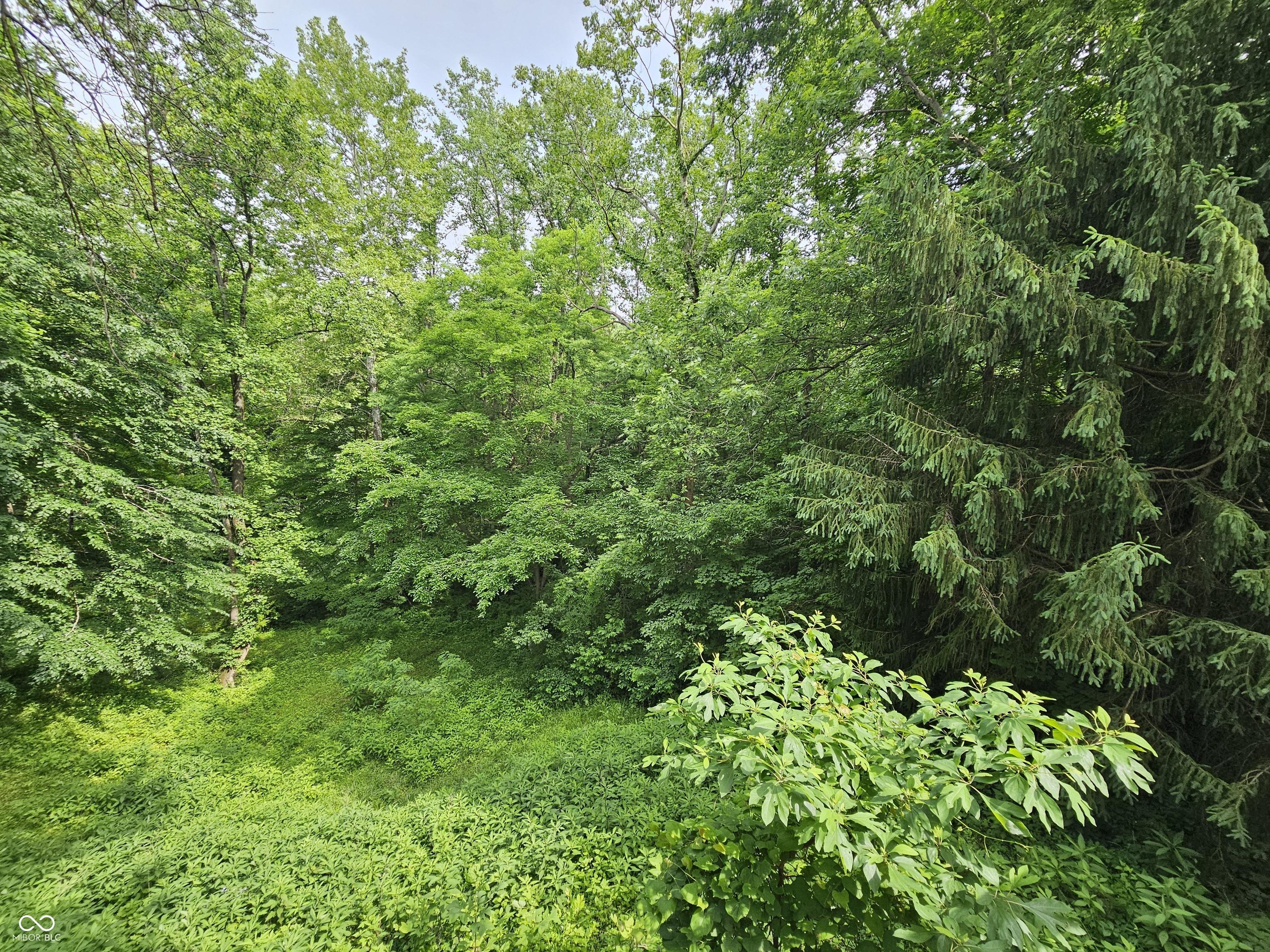 Photo #52
