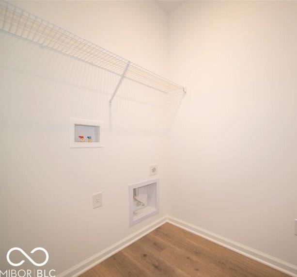 Photo #11