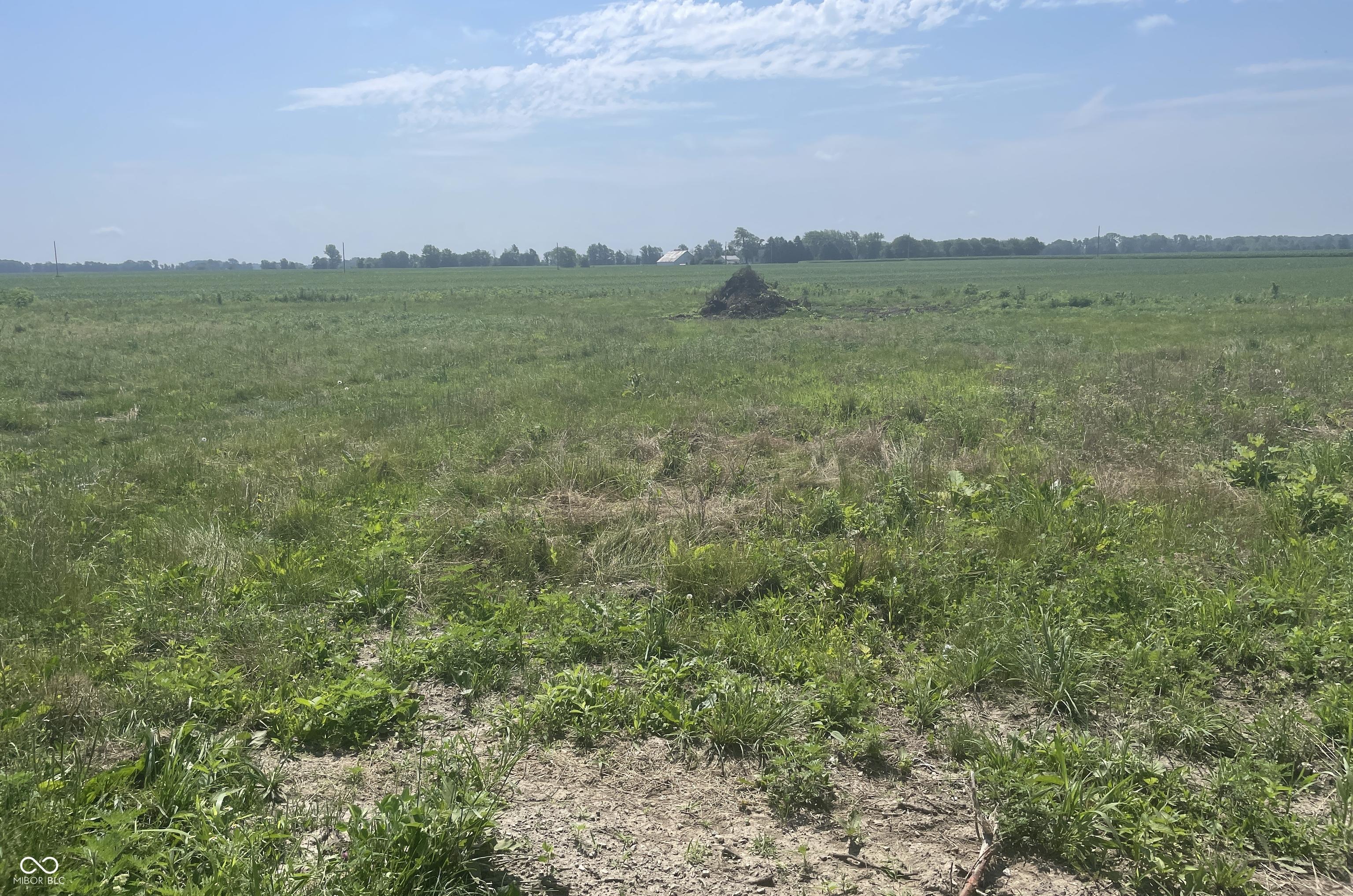 Photo #34