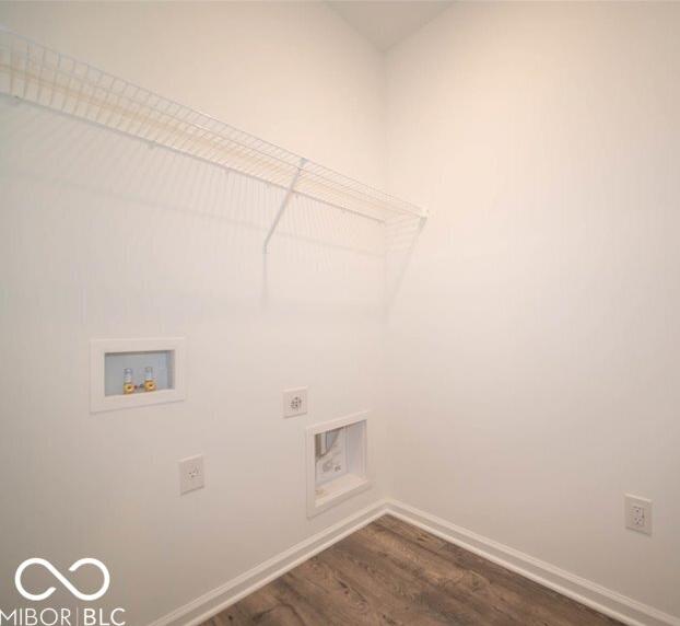 Photo #11