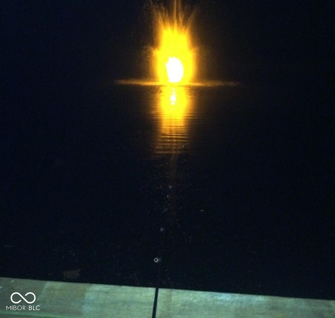 Photo #58