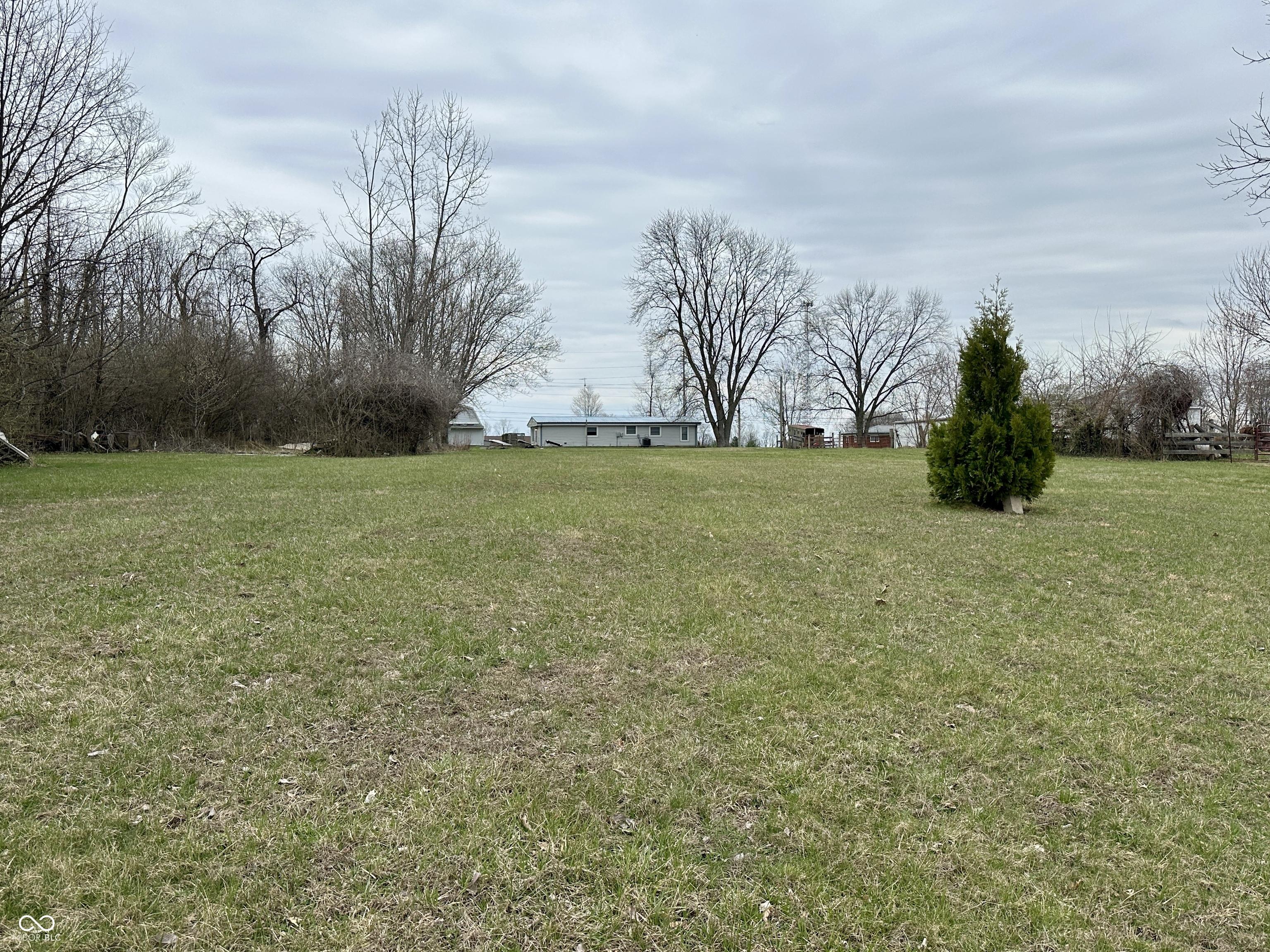 Photo #5