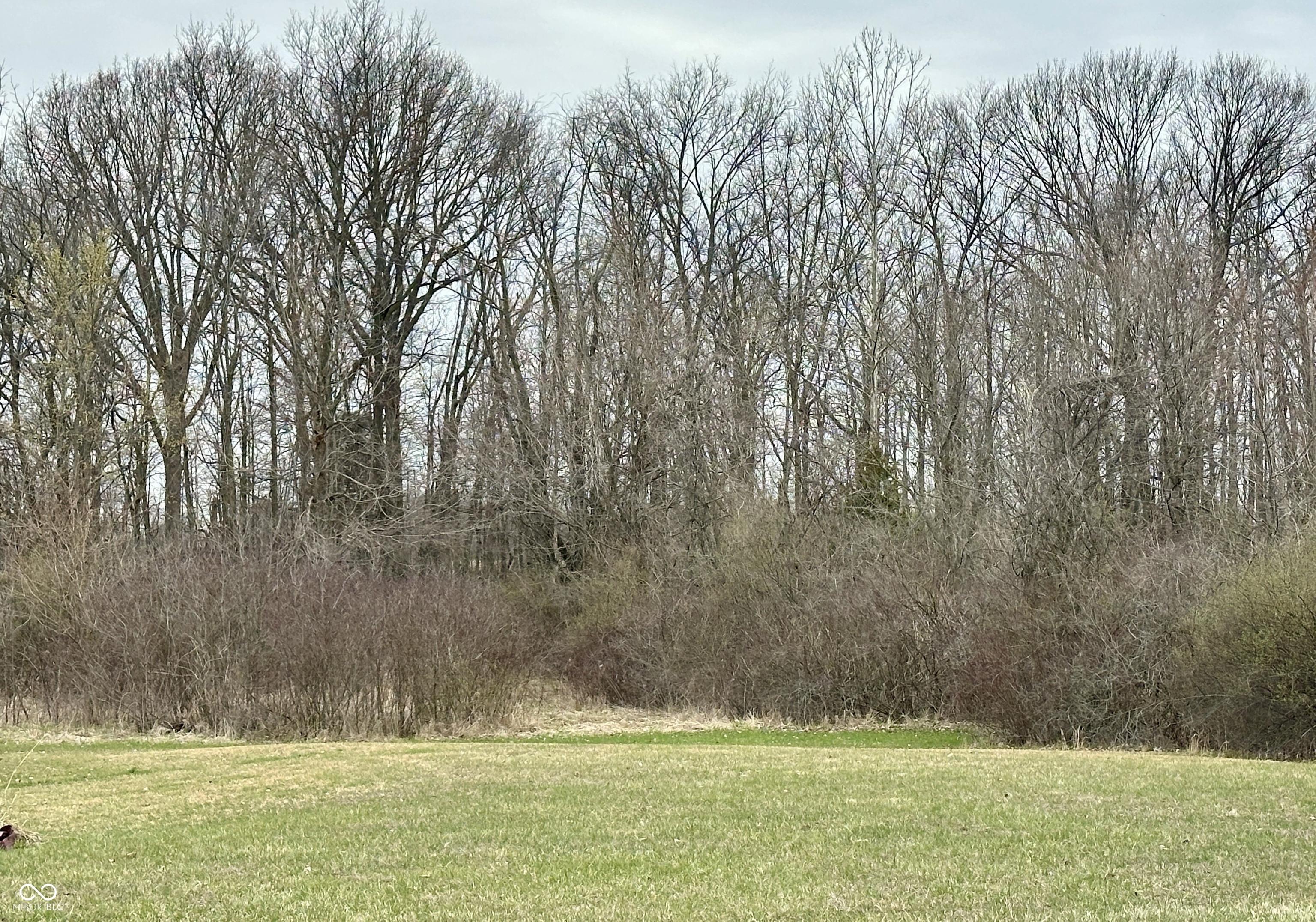 Photo #7