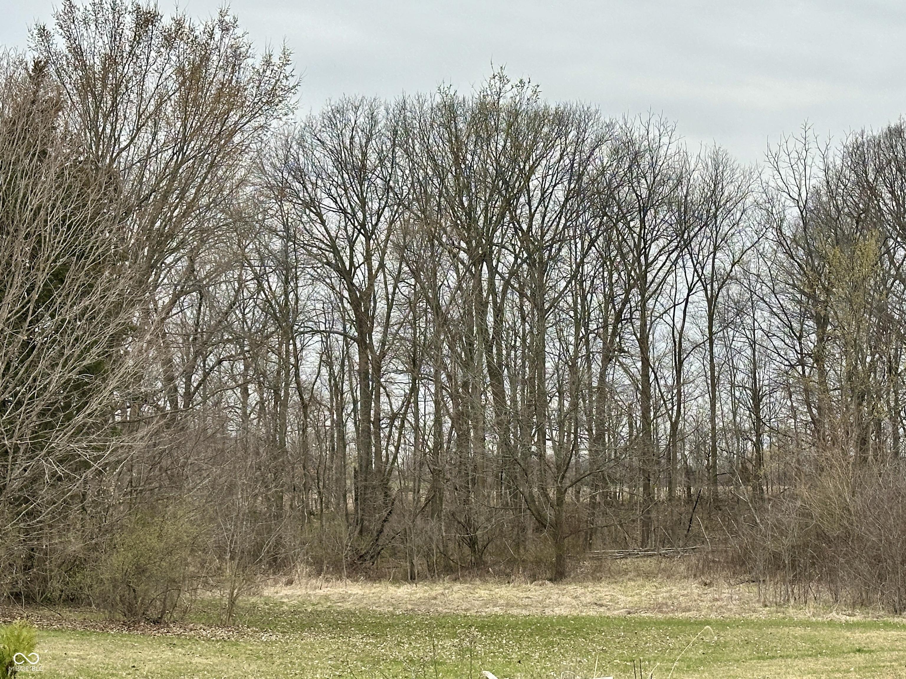 Photo #6
