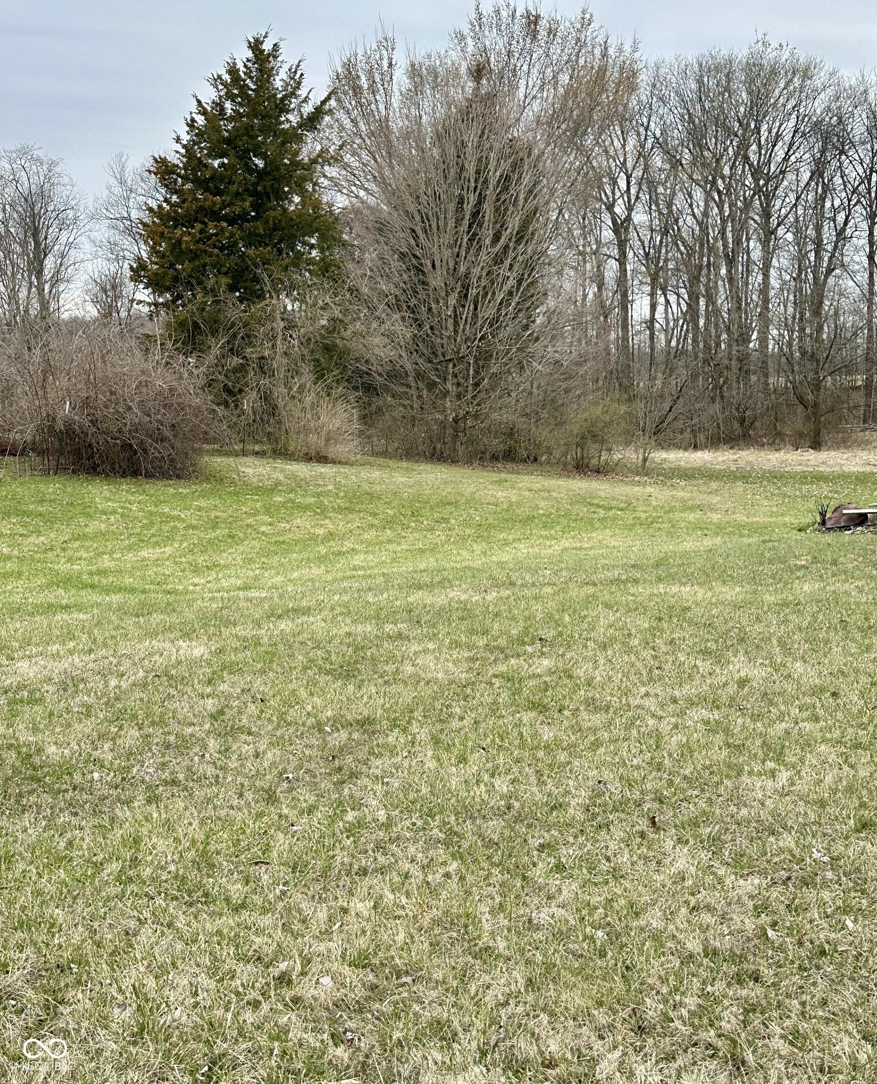 Photo #8