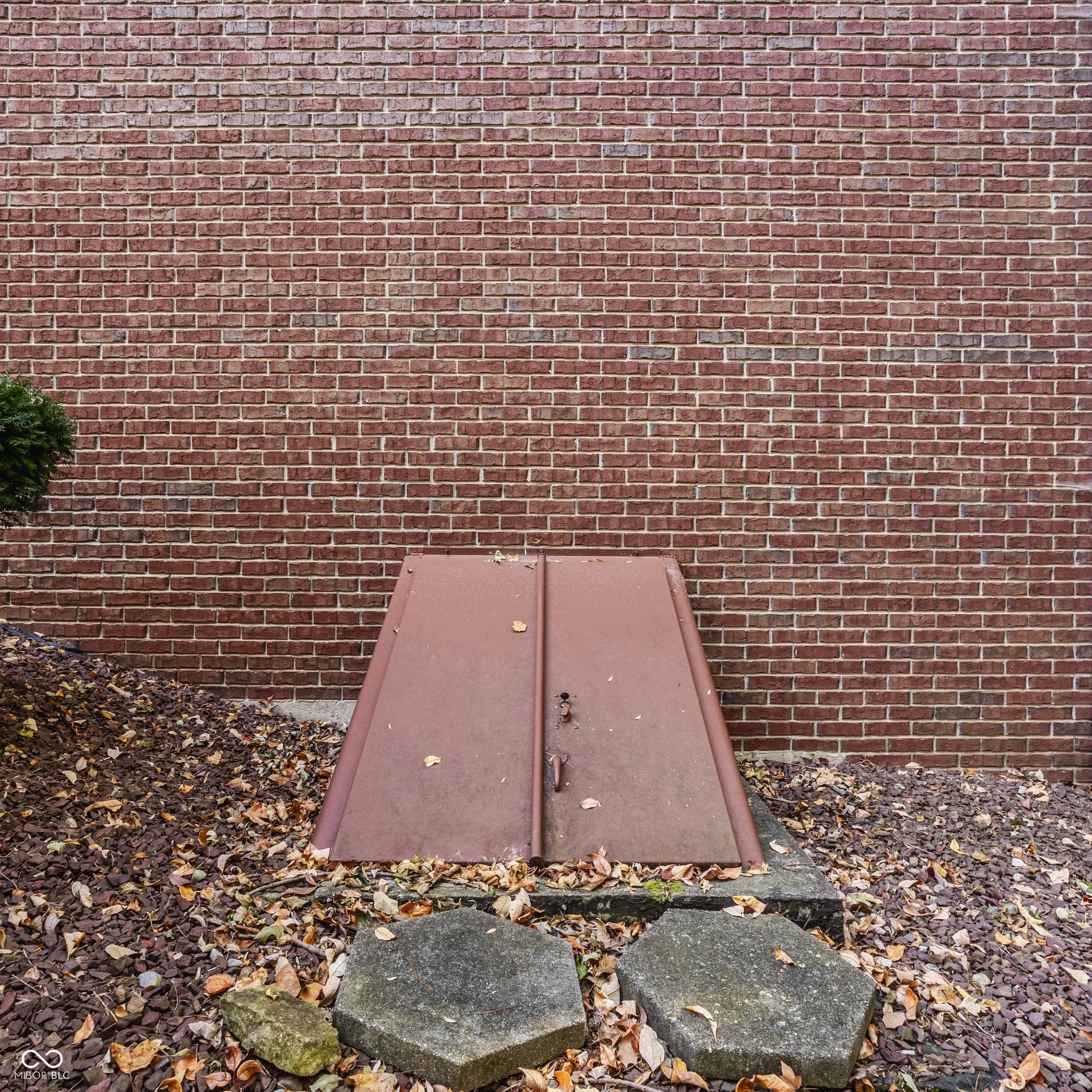 Photo #60