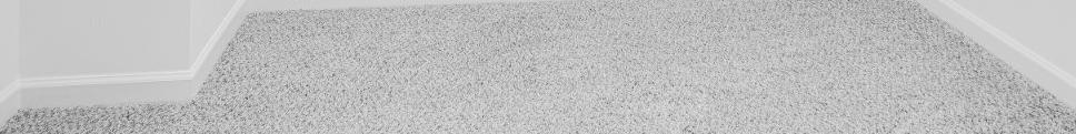 Photo #16