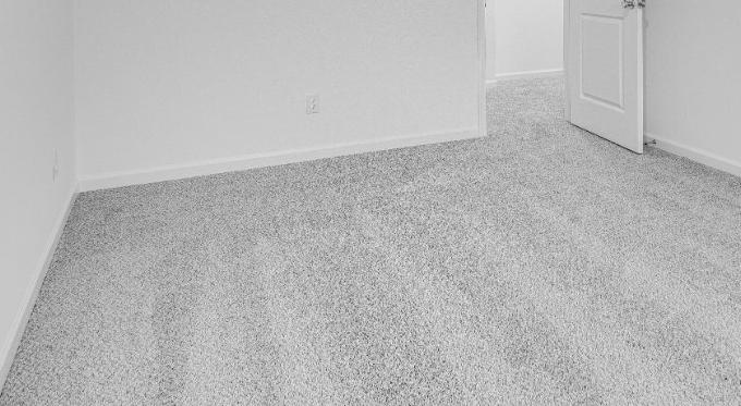 Photo #22