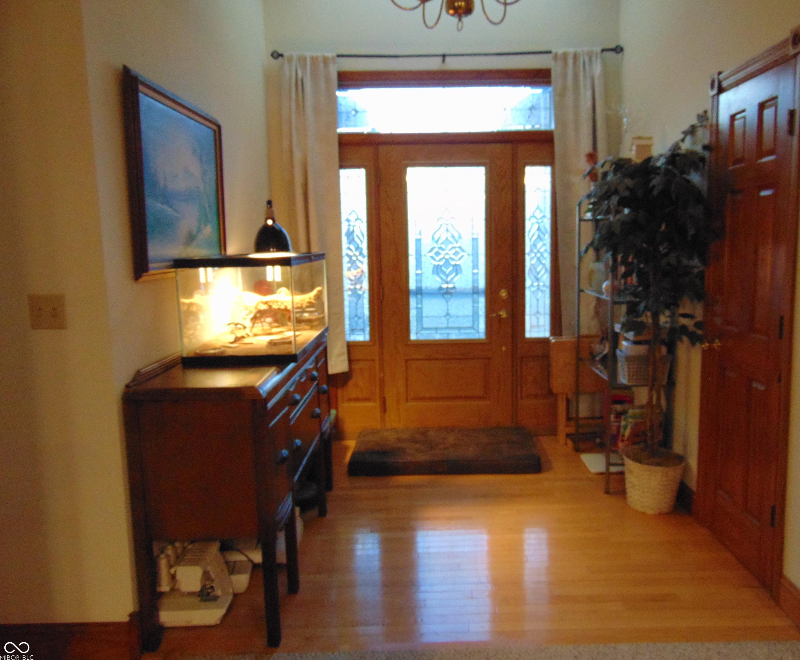 Photo #12